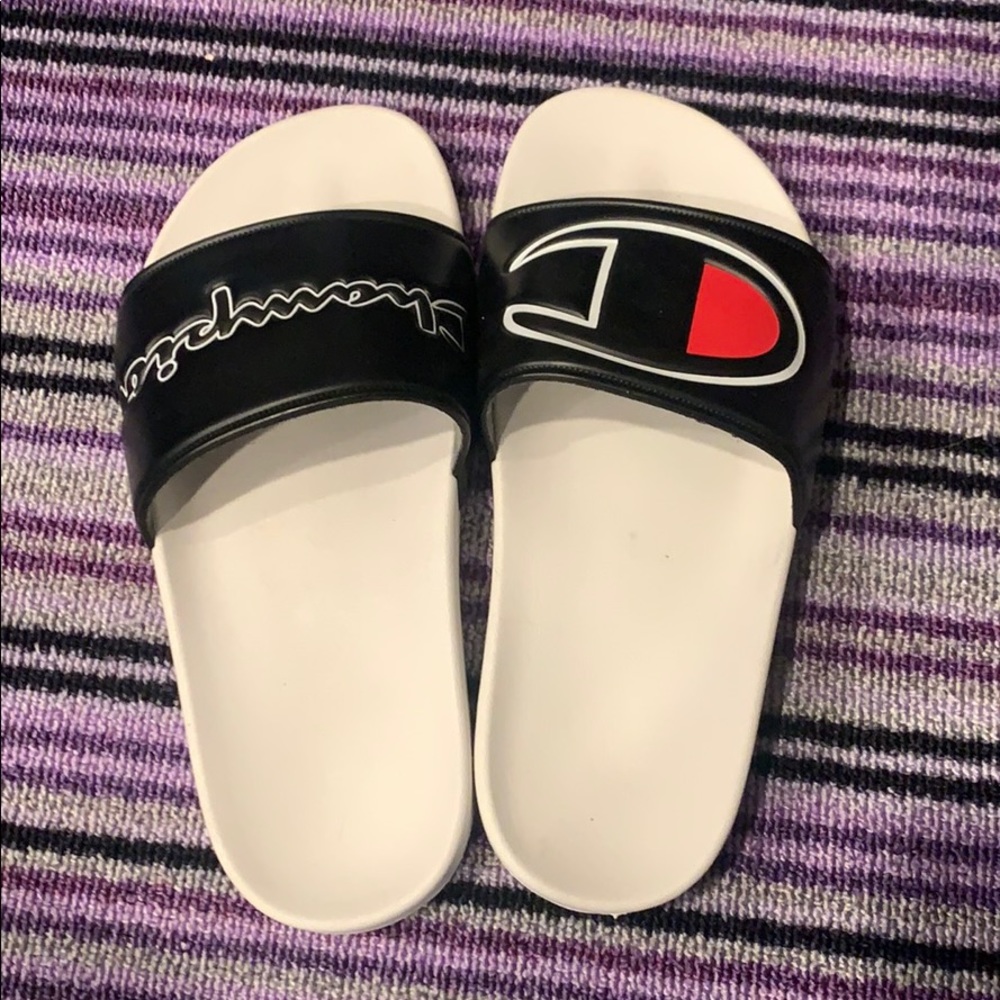 Champion pool slides - Picture 2 of 3
